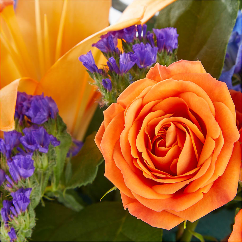 Radiant Citrus Box Bouquet – Greater Kansas City Flower Shop, Kansas City MO