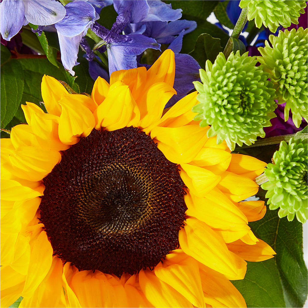 Catching Rays Bouquet – Greater Kansas City Flower Shop, Kansas City MO
