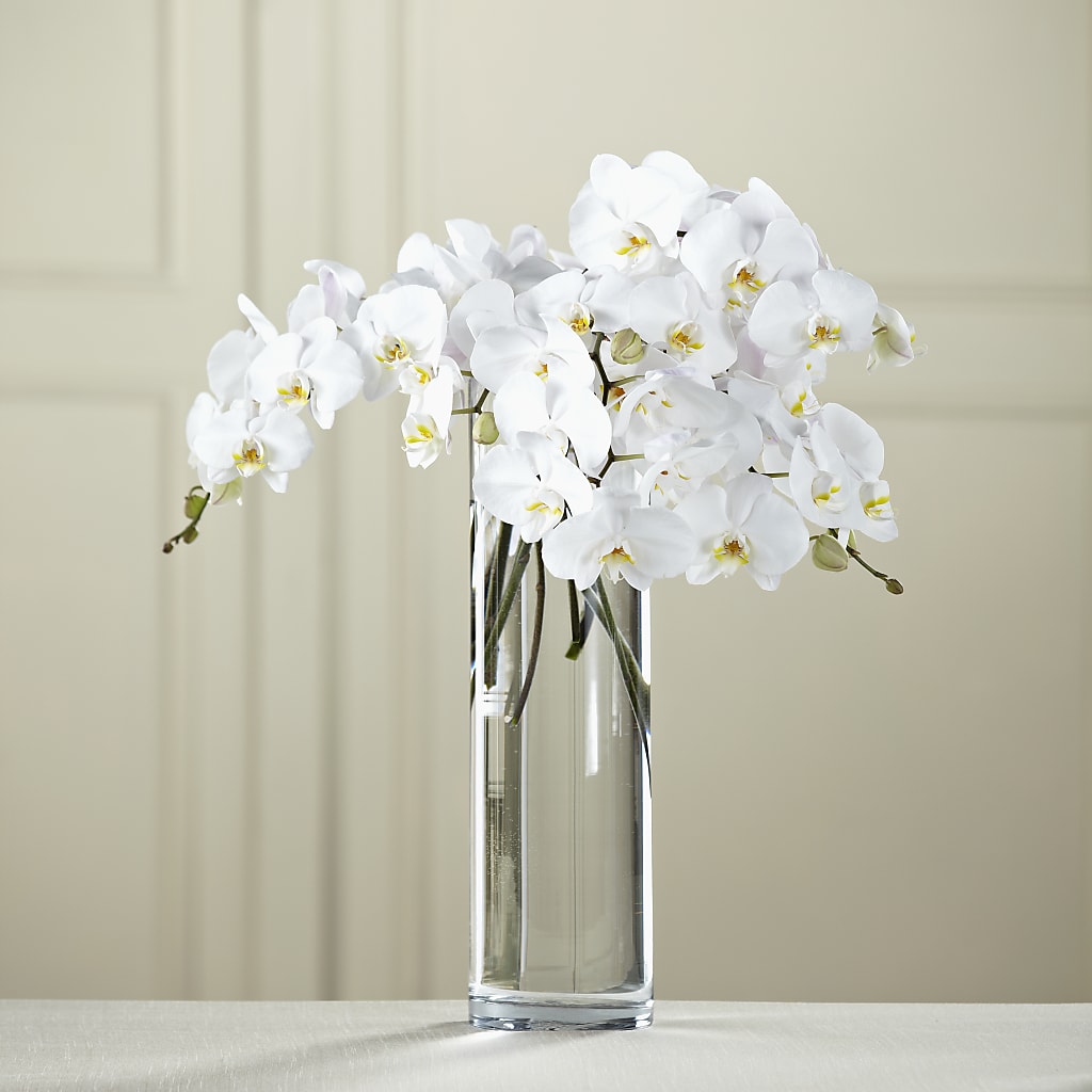 White Phalaenopsis Bouquet – Greater Kansas City Flower Shop, Kansas City MO