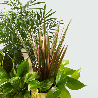 French Garden –  Greater Kansas City Flower Shop, Kansas City MO