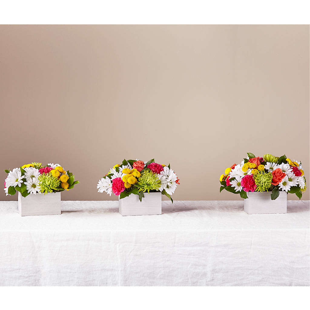 Sorbet Bouquet –  Greater Kansas City Flower Shop, Kansas City MO