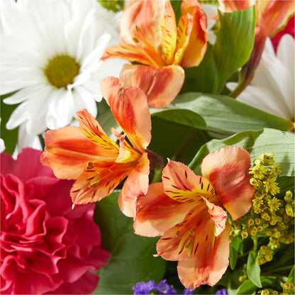 Oopsie Daisy Box Bouquet –  Greater Kansas City Flower Shop, Kansas City MO