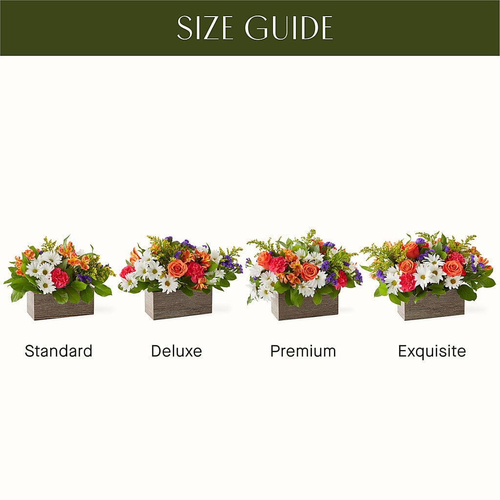 Oopsie Daisy Box Bouquet –  Greater Kansas City Flower Shop, Kansas City MO