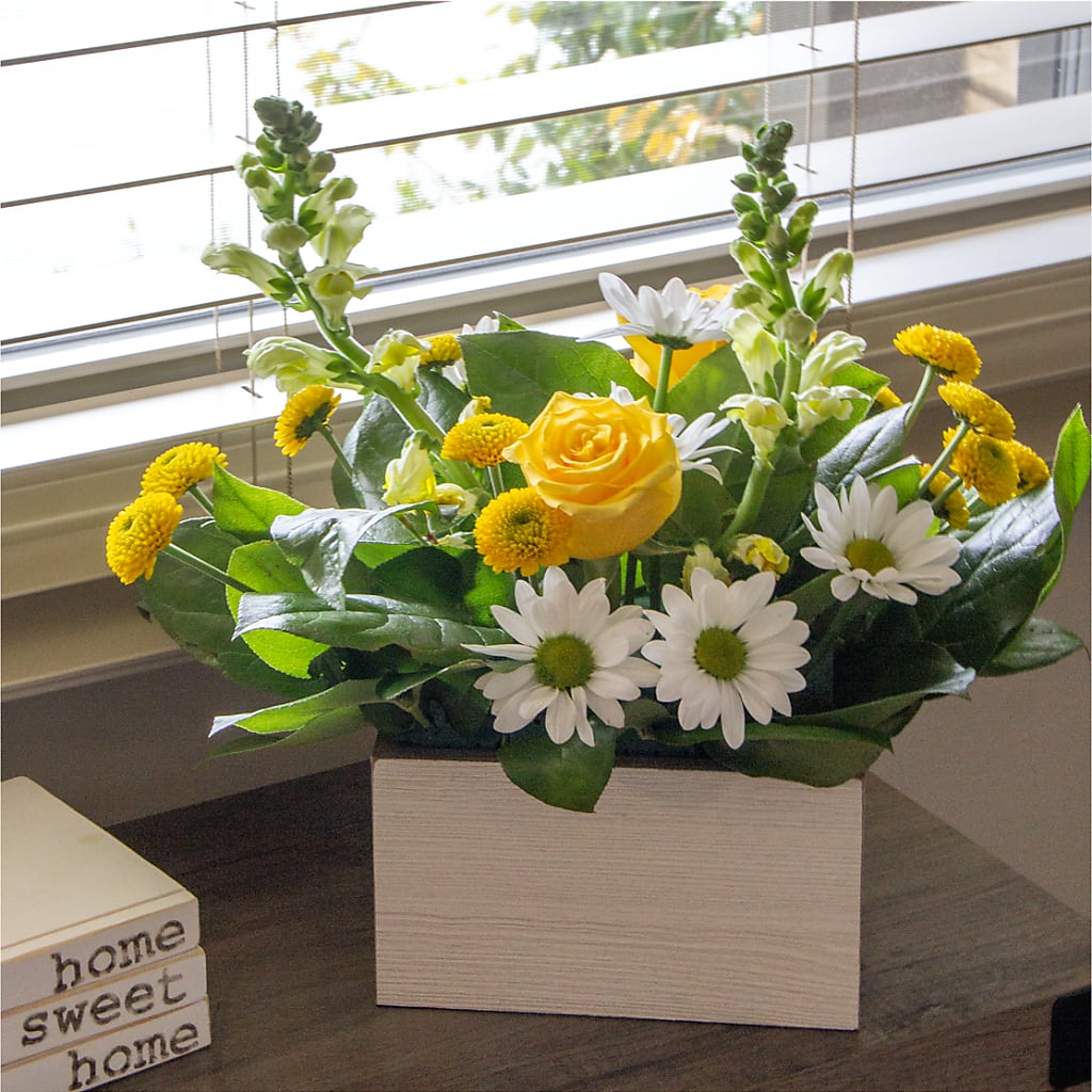 Sun Salutation Box Bouquet –  Greater Kansas City Flower Shop, Kansas City MO