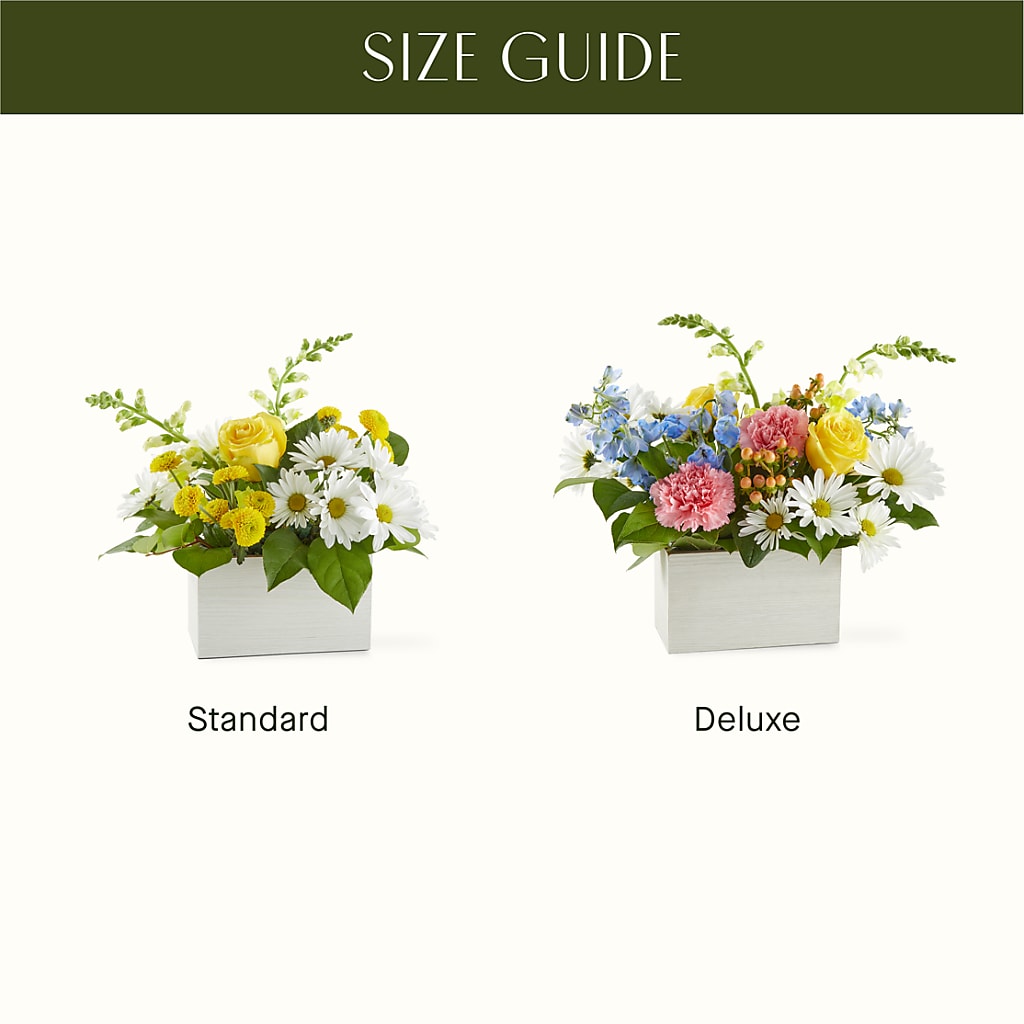 Sun Salutation Box Bouquet –  Greater Kansas City Flower Shop, Kansas City MO