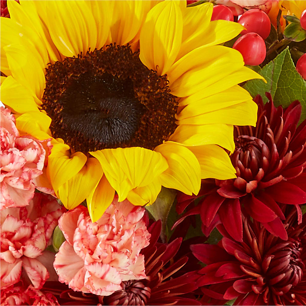 Fresh Cider Bouquet –  Greater Kansas City Flower Shop, Kansas City MO