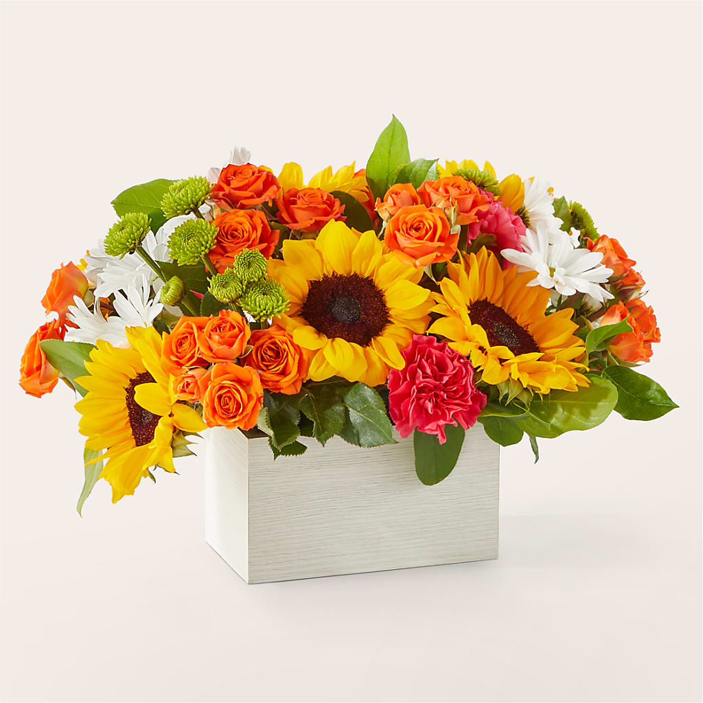 Sun-drenched Blooms Box Bouquet –  Greater Kansas City Flower Shop, Kansas City MO