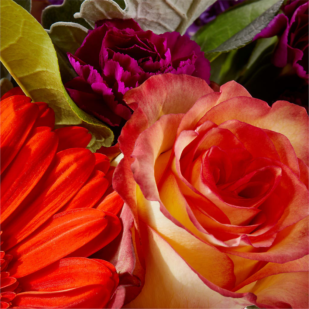 Sangria Bouquet –  Greater Kansas City Flower Shop, Kansas City MO