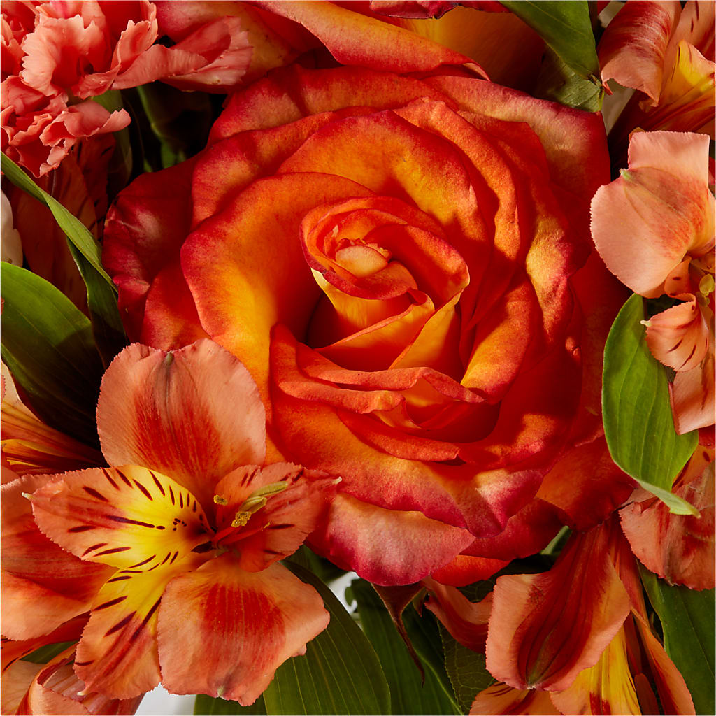 Apricot Glow Bouquet –  Greater Kansas City Flower Shop, Kansas City MO