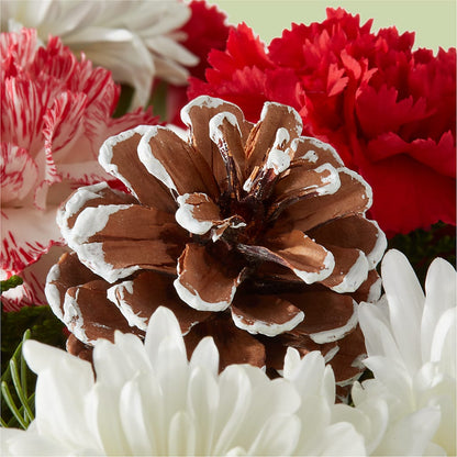Candy Cane Lane Bouquet –  Greater Kansas City Flower Shop, Kansas City MO