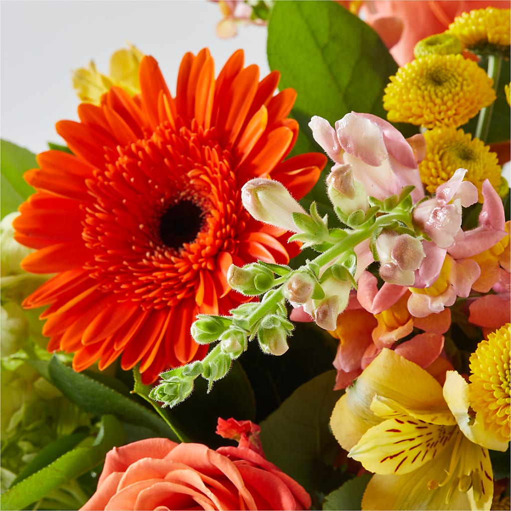 Autumn Sunshine Bouquet –  Greater Kansas City Flower Shop, Kansas City MO