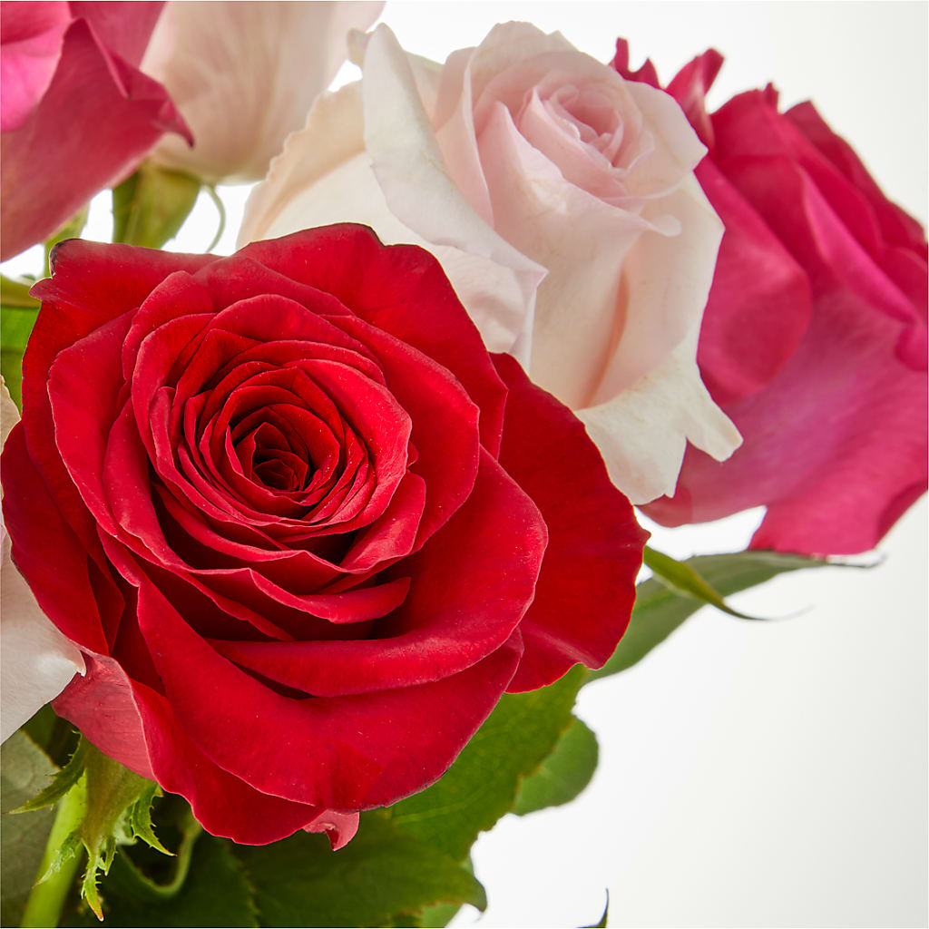 Charming Rose Bouquet –  Greater Kansas City Flower Shop, Kansas City MO