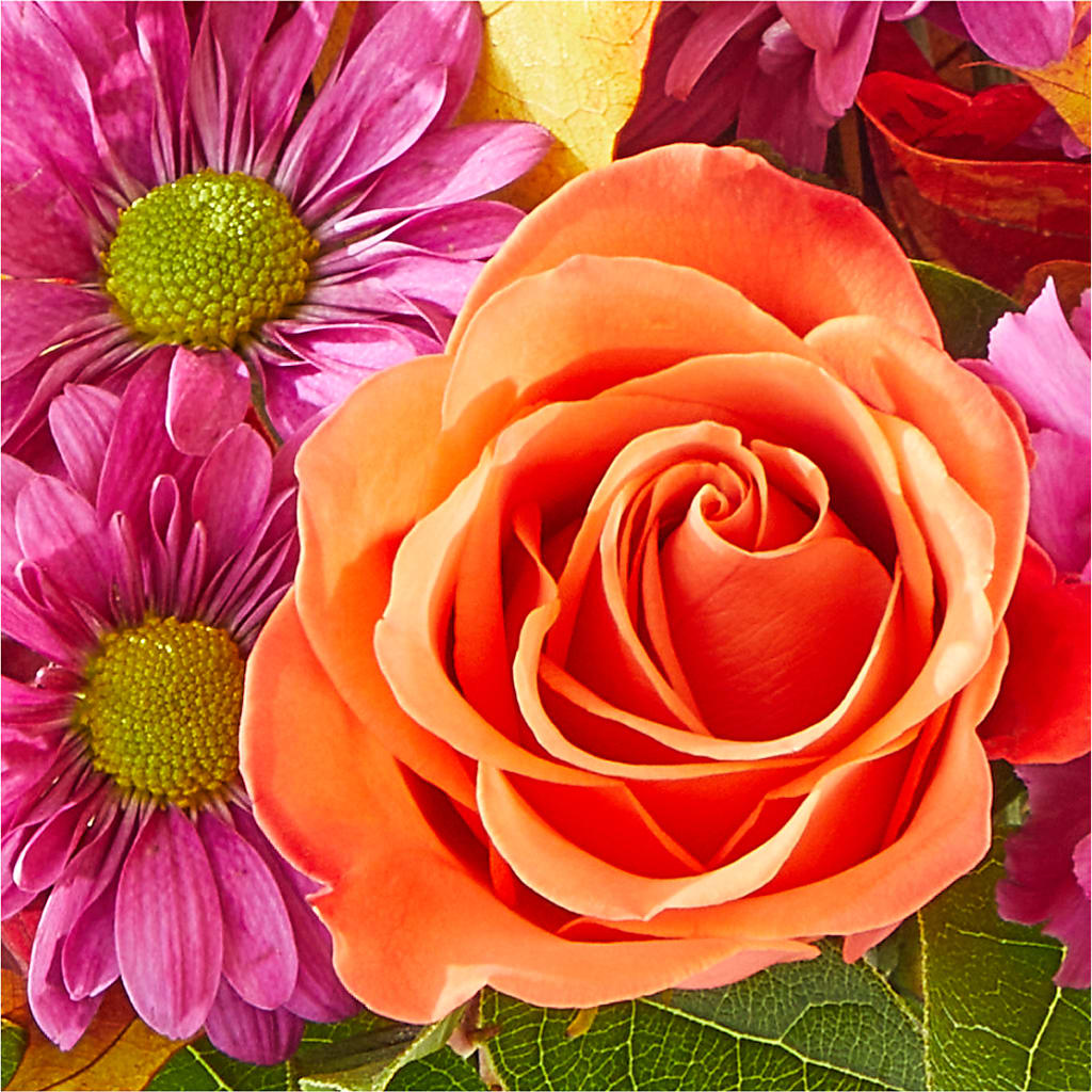 Mum's the Word Bouquet –  Greater Kansas City Flower Shop, Kansas City MO