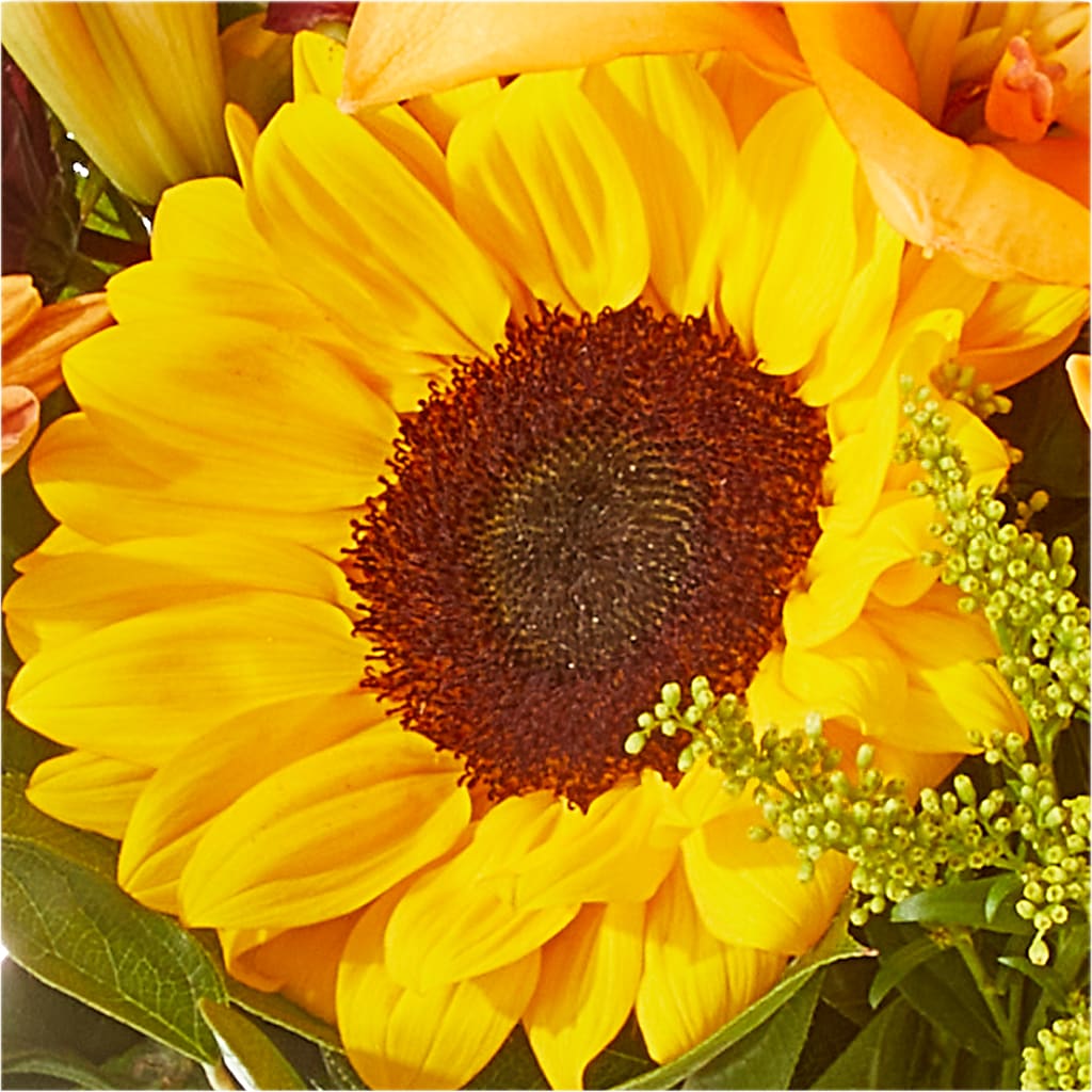 Seasons Change Bouquet –  Greater Kansas City Flower Shop, Kansas City MO