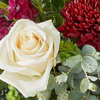 Cranberry Fizz Bouquet –  Greater Kansas City Flower Shop, Kansas City MO