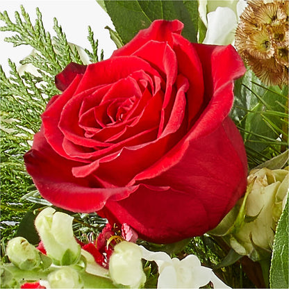 Deck the Halls Bouquet –  Greater Kansas City Flower Shop, Kansas City MO