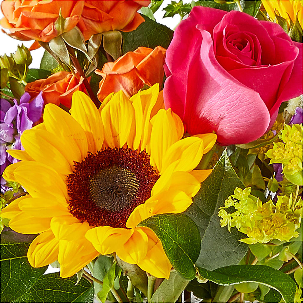 Vibrant Greetings Bouquet –  Greater Kansas City Flower Shop, Kansas City MO