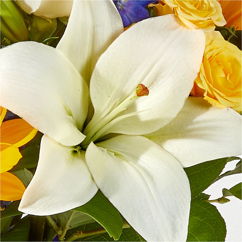 Wonderfully Sunny Bouquet –  Greater Kansas City Flower Shop, Kansas City MO