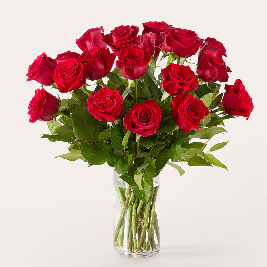 The One Red Rose Bouquet –  Greater Kansas City Flower Shop, Kansas City MO