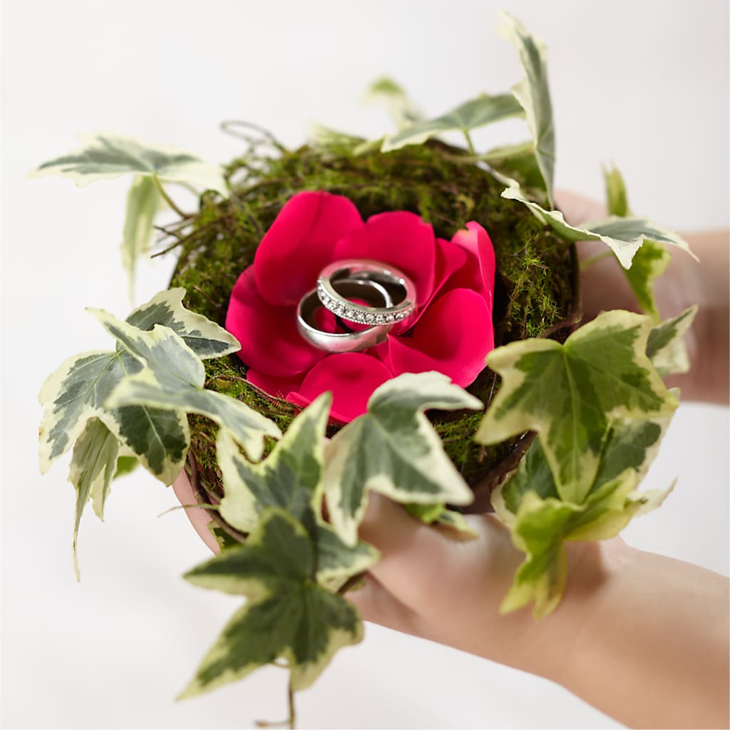 Nido de Anillo Lila Rosa