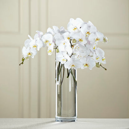White Phalaenopsis Bouquet –  Greater Kansas City Flower Shop, Kansas City MO